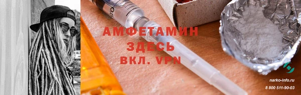 молекула духа Осташков