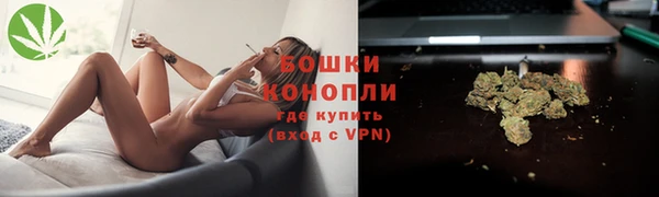 ALPHA PVP Заволжье