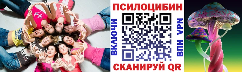 хочу наркоту  Рудня  Галлюциногенные грибы прущие грибы 